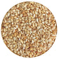 Postcard Jaipuri Watermelon Seeds