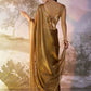 Brown Burberry Organza Solid Fancy Designer Saree - Nafisa