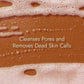 Kapiva Ayurveda Skin Rituals Kumkumadi Glow Face Wash - Swadesiicart