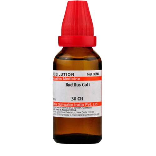 Dr. Willmar Schwabe India Bacillus Coli Dilution | Swadesiicart