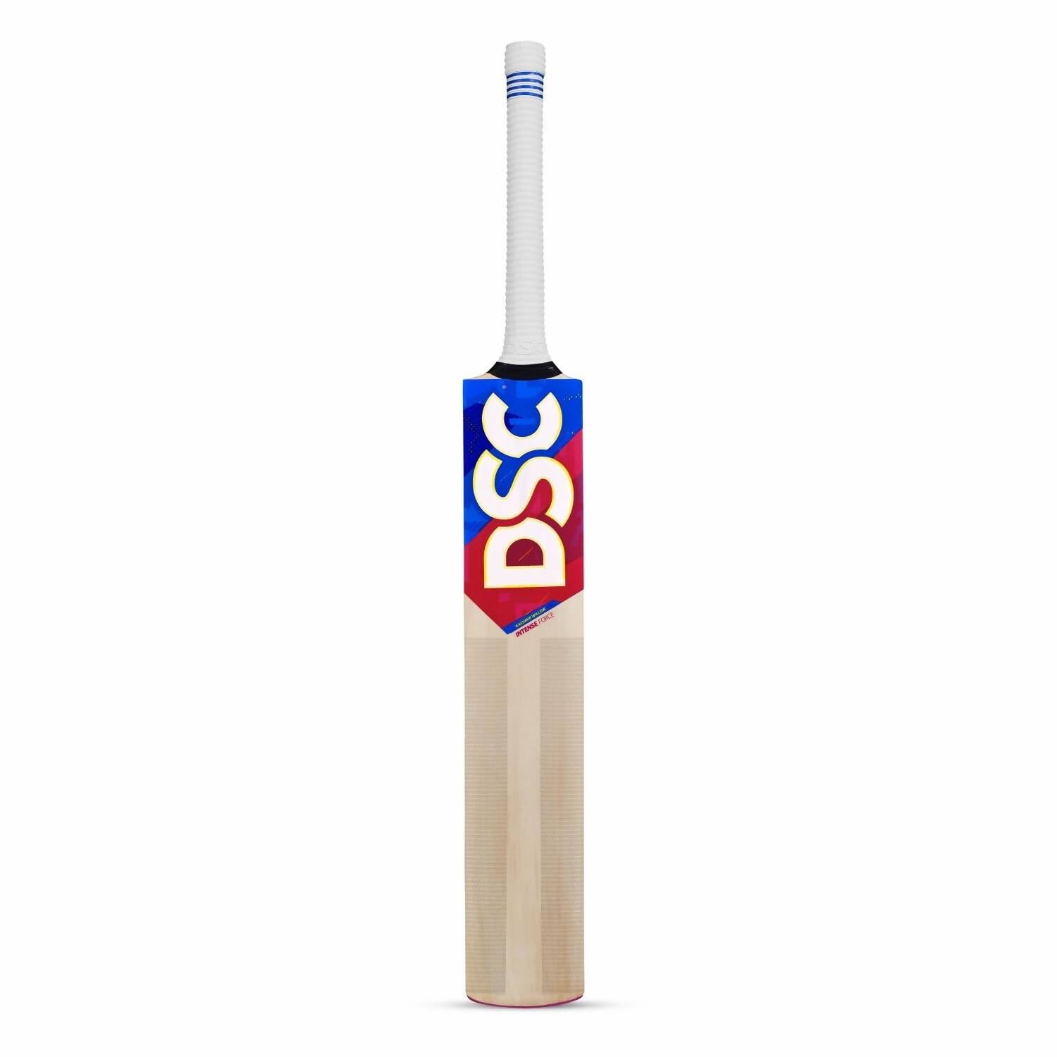 DSC Economy Kashmir Willow Cricket Kit (Size 5) - Swadesiicart