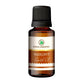 Korus Essential Hazelnut Essential Oil - Therapeutic Grade - Just Jaivik