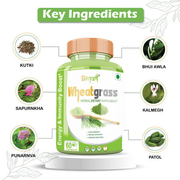 Divya Shree Wheatgrass Capsules | Swadesiicart