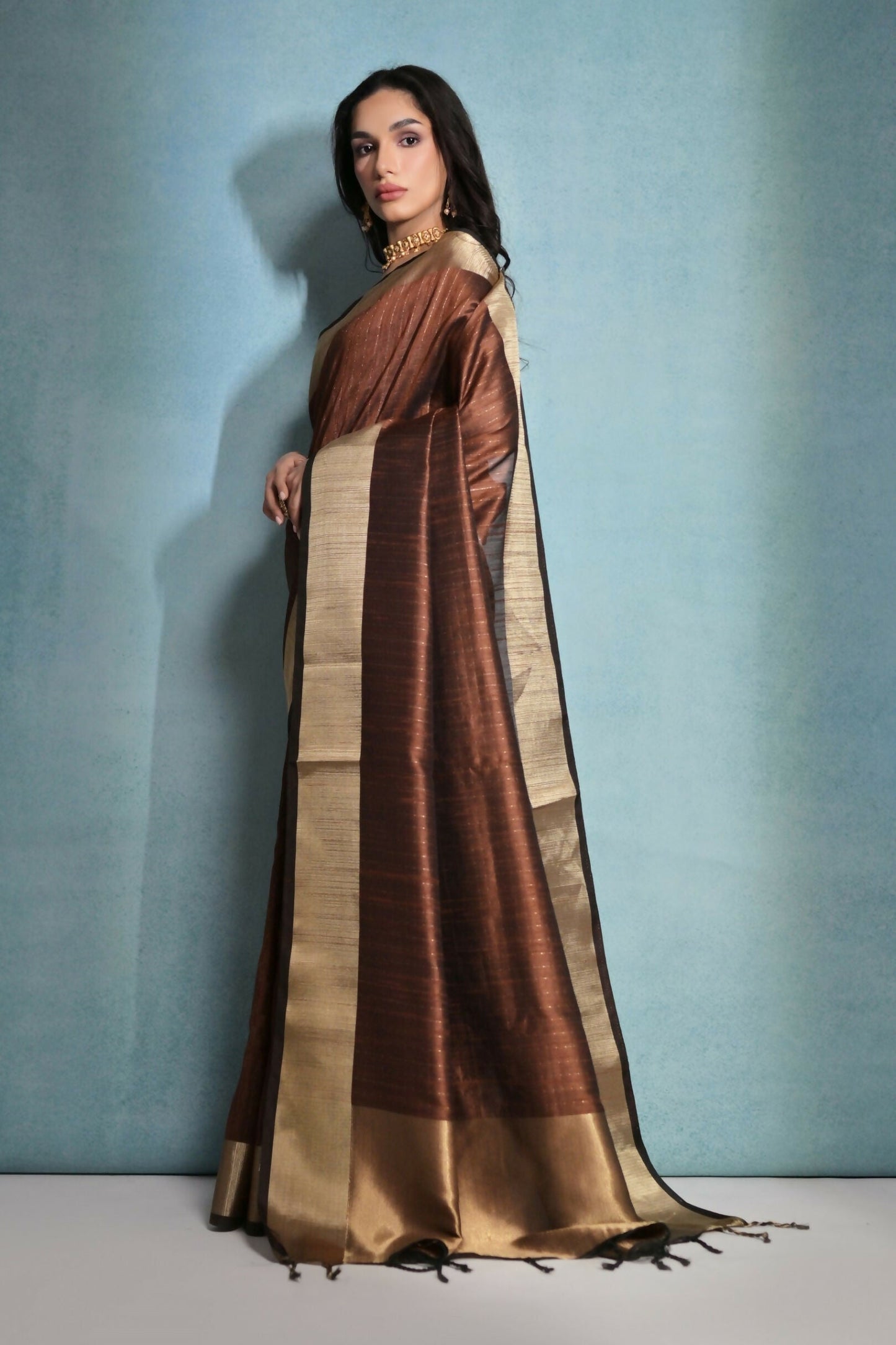 Vishnu Weaves Women's Coffee Raw Silk Zari Woven Saree with Blouse - Swadesiicart