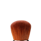 Anastasia Beverly Hills Brush A30