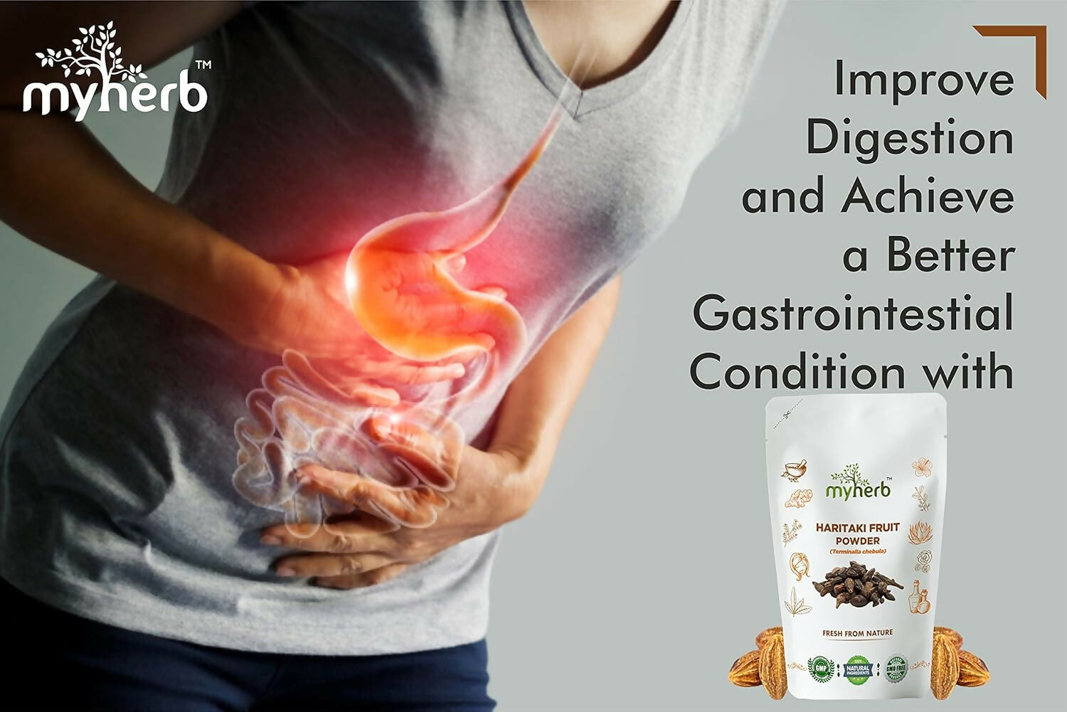 Myherb Natural Organic Haritaki Powder - Swadesiicart
