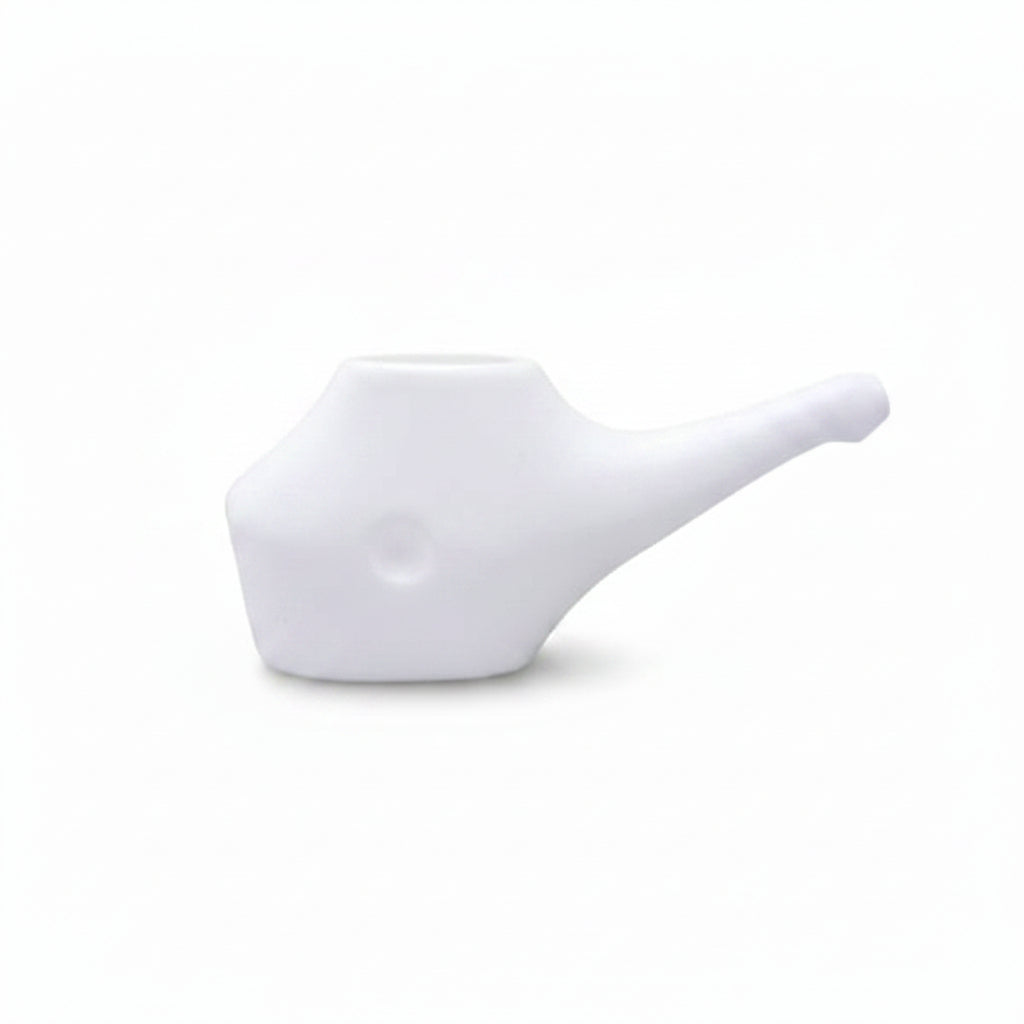 Netipot -Travellers