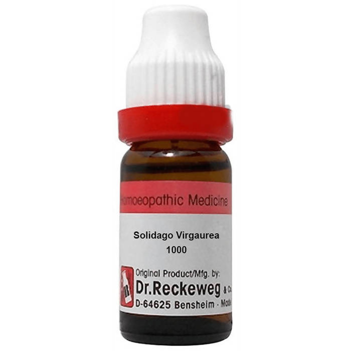 Dr. Reckeweg Solidago Virgaurea Dilution - Swadesiicart