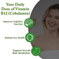 Planet Ayurveda Plant Based Vitamin B12 Capsules - Swadesiicart