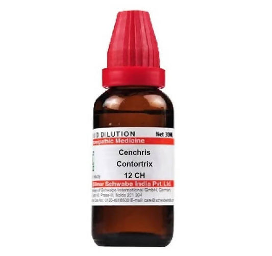 Dr. Willmar Schwabe India Cenchris Contortrix Dilution | Swadesiicart