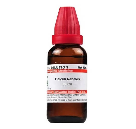 Dr. Willmar Schwabe India Calculi Renales Dilution | Swadesiicart
