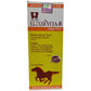 Dr. Wellmans Homeopathy Elixirvita-8 (Sugar Free) Restorative Tonic