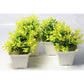 Chahat Decorative Artificial Plant 4 Piece Combo