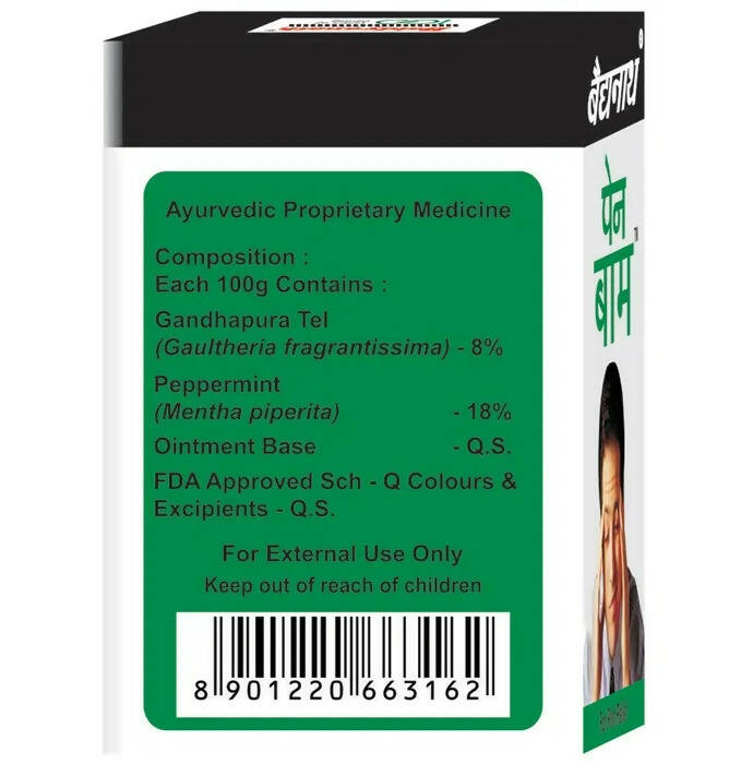 Baidyanath Nagpur Pain Relief Balm - Swadesiicart