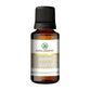 Korus Essential Jasmine Essential Oil - Therapeutic Grade - Just Jaivik