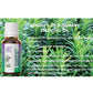 Ae Naturals Rosemary Essential Oil