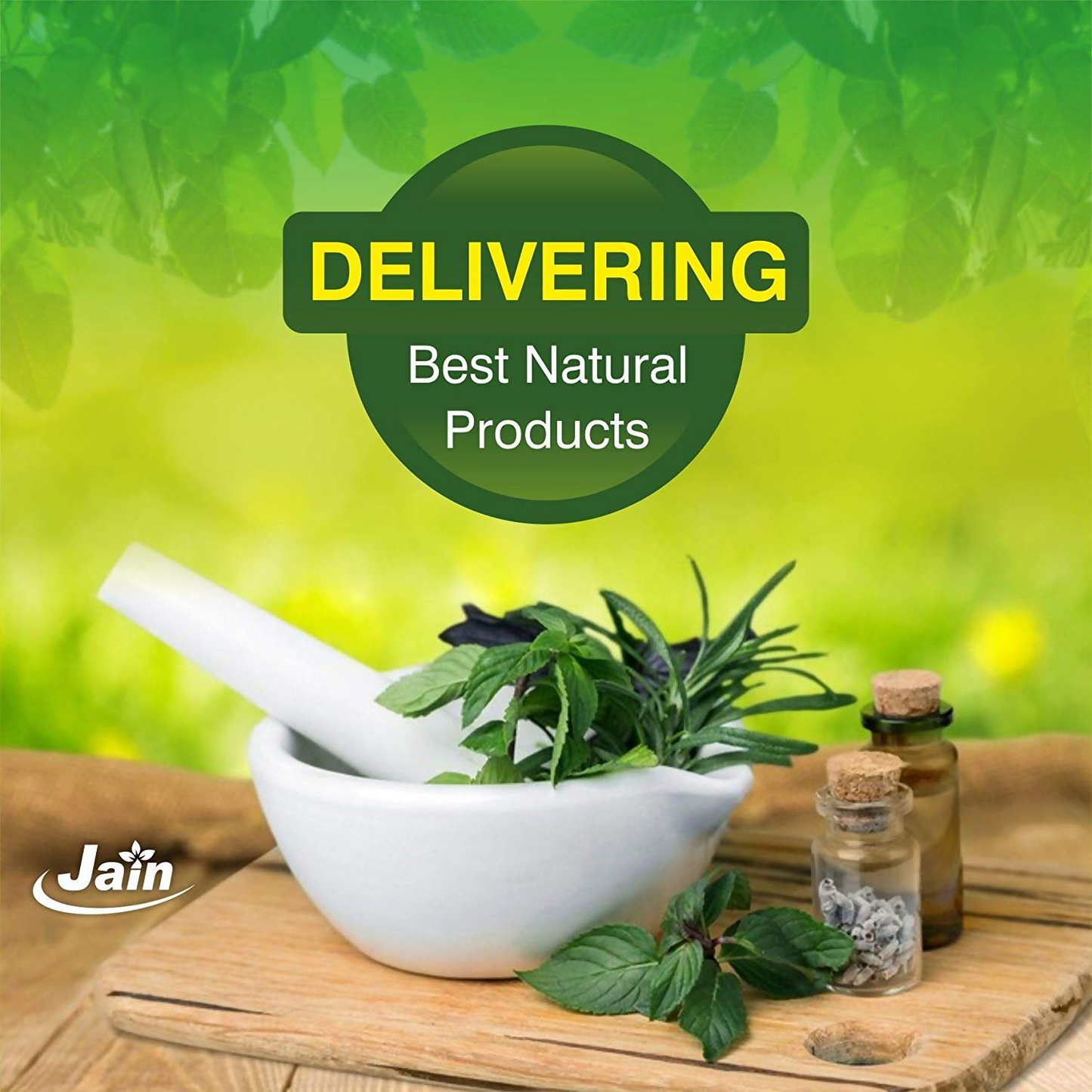 Jain Moringa Powder | Swadesiicart
