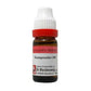 Dr. Reckeweg Gun Powder Dilution - Swadesiicart