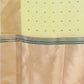 Shree Shyam Fashion Florance Light Green Organza Saree