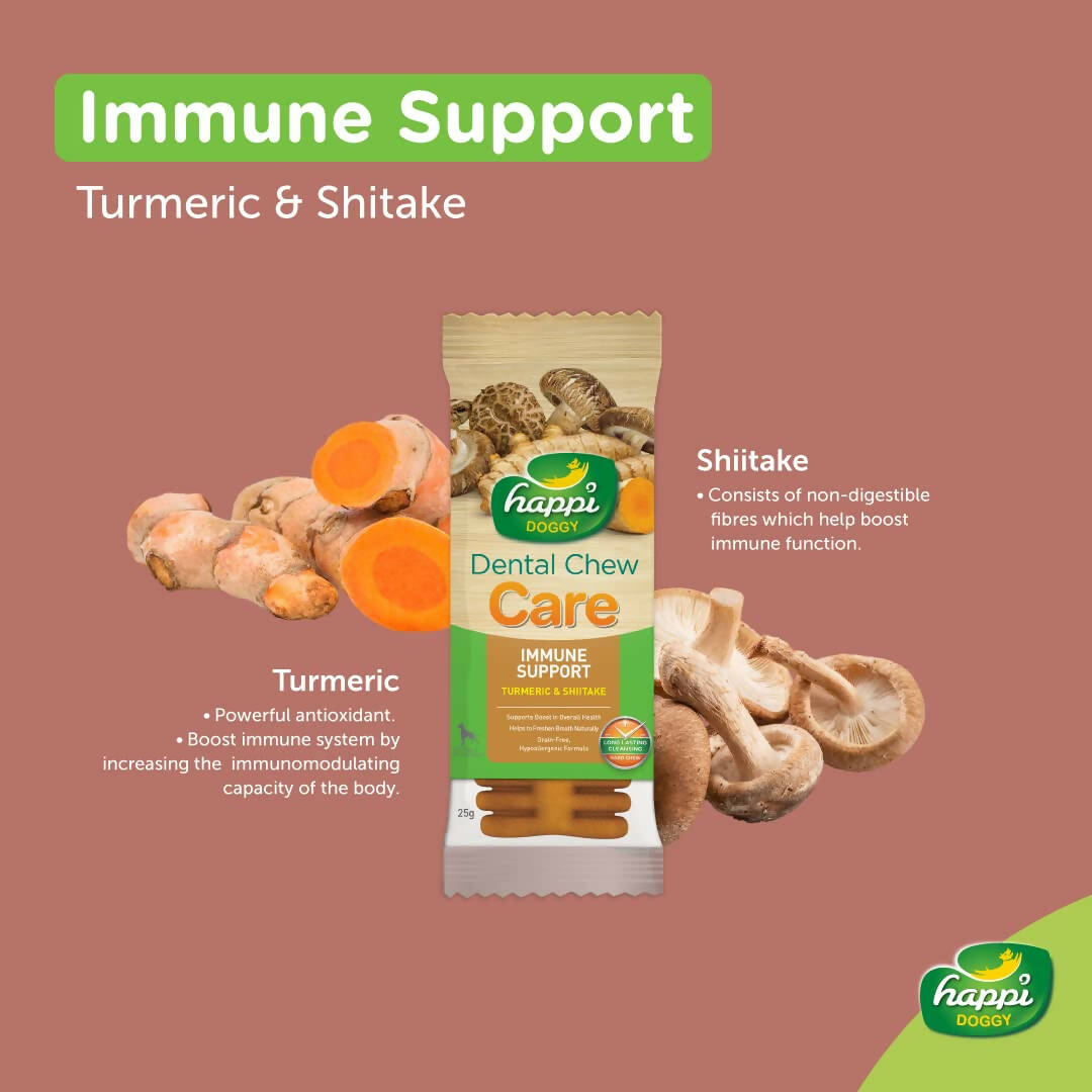 Happi Doggy Dental Chew Care Immune Support Turmeric & Shiitake - Swadesiicart