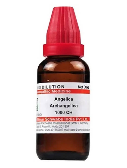 Dr. Willmar Schwabe India Angelica Archangelica Dilution | Swadesiicart