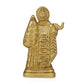Devlok Radha Krishna Thoss Pital Idol - Swadesiicart