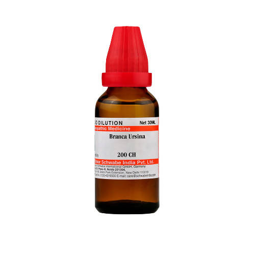 Dr. Willmar Schwabe India Branca Ursina Dilution | Swadesiicart