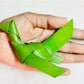 Shuddh Natural Hand Made Palm Leaf Parrot Bandhanwar | Swadesiicart