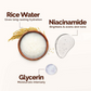 Mamaearth Rice Dewy Bright Light Moisturizing Cream with Rice Water & Niacinamide For Glass-Skin