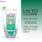 Lacto Calamine Aloe Vera Gel Face Moisturizer - Swadesiicart