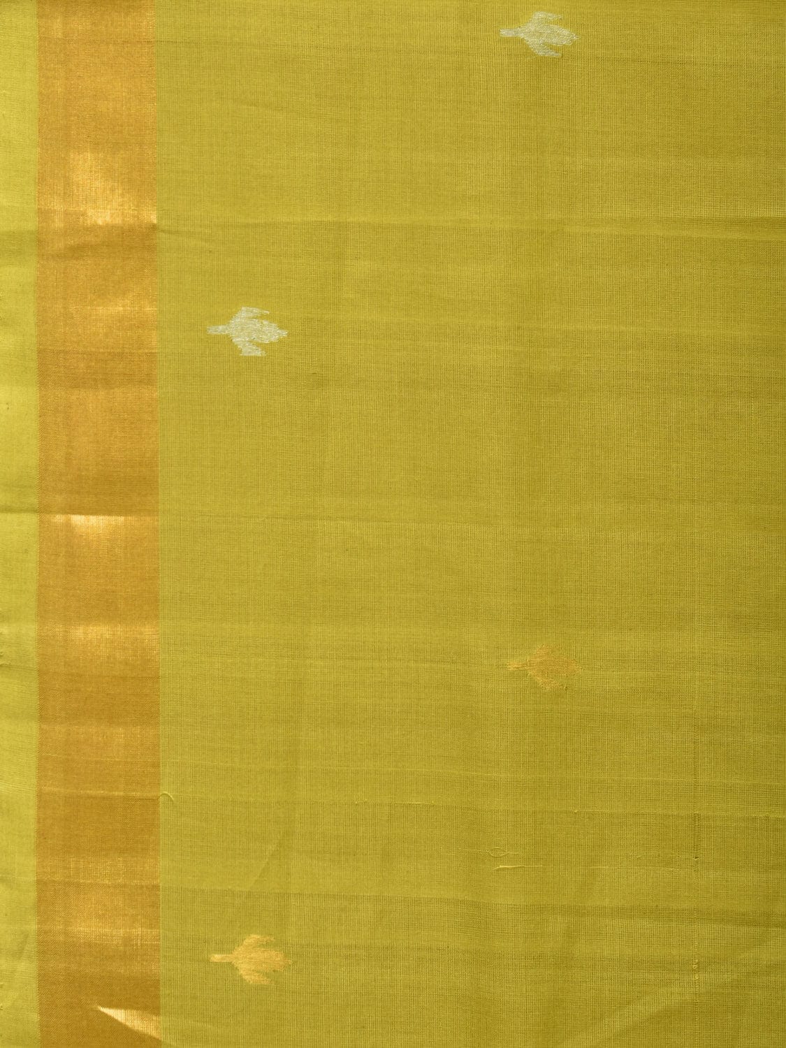 Olive Uppada Cotton Handloom Saree with Jamdani Pallu Design - Global Threads | Swadesiicart