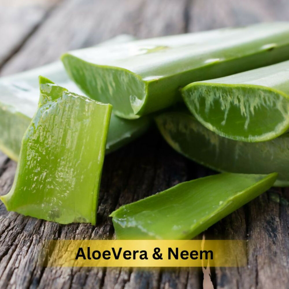 Prakriti Herbal Soap Aloevera and Neem - Swadesiicart