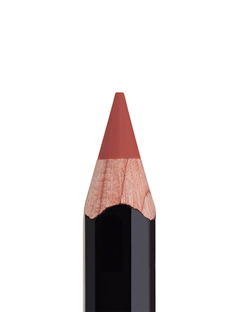 Anastasia Beverly Hills Lip Liner - Raisin - Swadesiicart