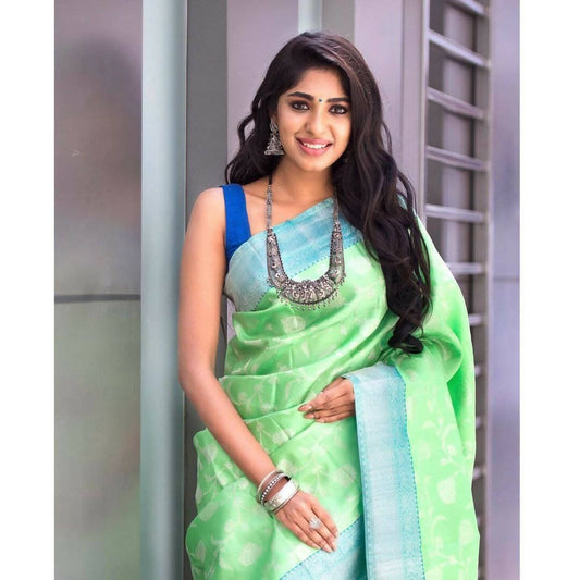 DEIANA'S Beautiful Designer Golden zari Soft Lichi Silk Saree - Pista - Swadesiicart