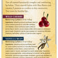 Burt's Bees Natural Moisturizing Lip Balms (Wild Cherry & Vanilla Bean)