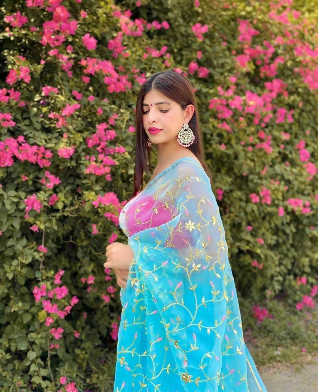 Vamsee Maya Jal Blue Organza Saree - Swadesiicart