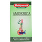 Baidyanath Jhansi Amoebica Tablets - Ayurvedant Pvt. Ltd.