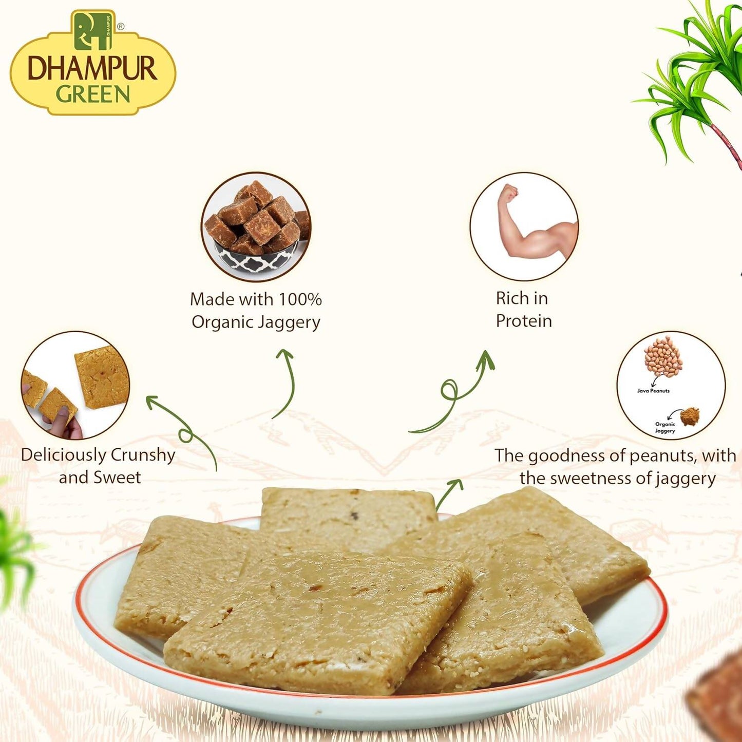 Dhampur Green Peanut Energy Bar | Swadesiicart
