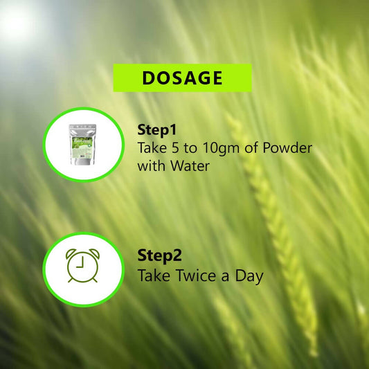 Syndy Pharma Organic Wheat Grass Powder - Swadesiicart