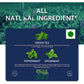 Shuddh Natural Moroccan Mint Green Tea | Swadesiicart