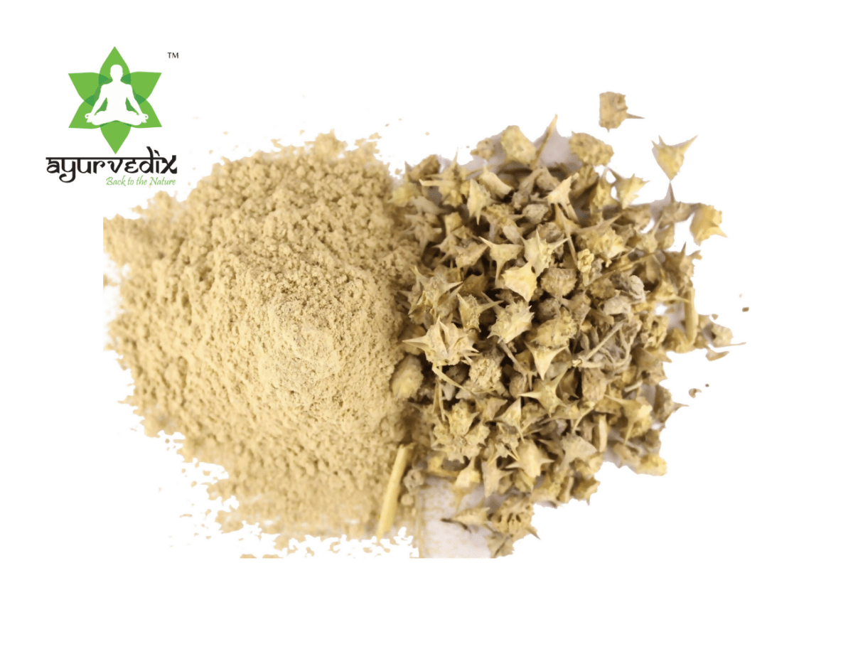 Ayurvedix Organic Gokshura Powder - Swadesiicart