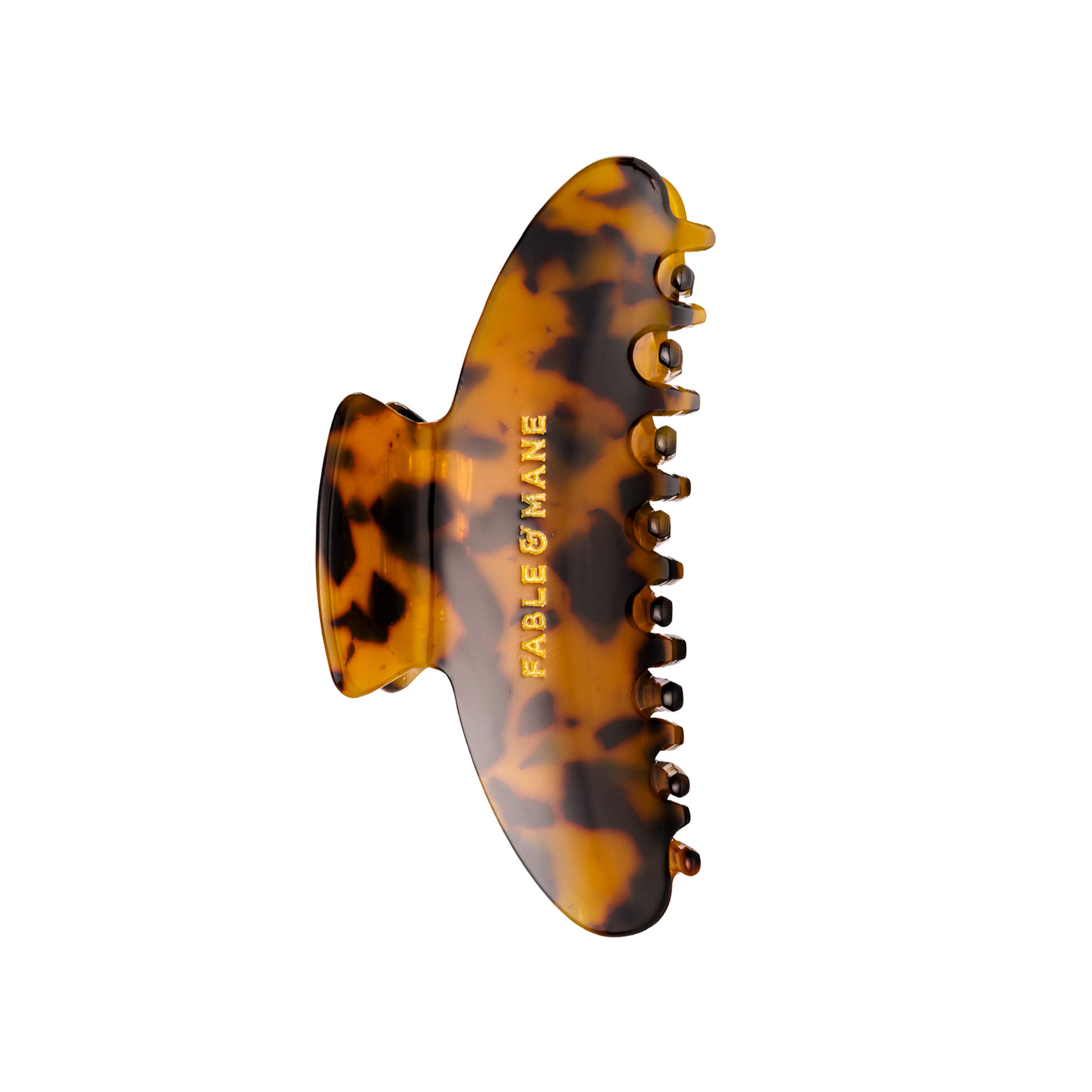 Tortoiseshell Claw Clip