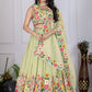 DEIANA'S Heavy Embroidery With Multi Work Lehenga Choli - Pastel Green - Swadesiicart