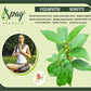 Spag Herbals Podapatri Powder - Swadesiicart
