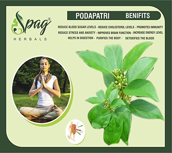 Spag Herbals Podapatri Powder - Swadesiicart