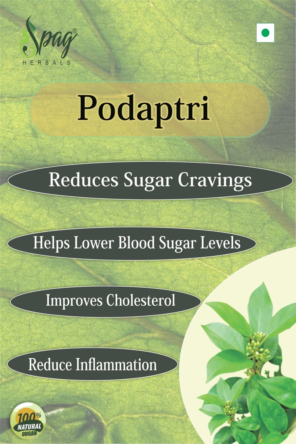 Spag Herbals Podapatri Powder - Swadesiicart
