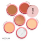 Gleva 5 In 1 Makeup stack Gleva 5 In 1 Makeup stack WIth Concealer, Bronzer, Blusher, Compact & Highlighter Smooth & Blendable Formula - Medium - Swadesiicart