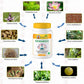 Gunatit Herbal Genswell Capsules | Swadesiicart