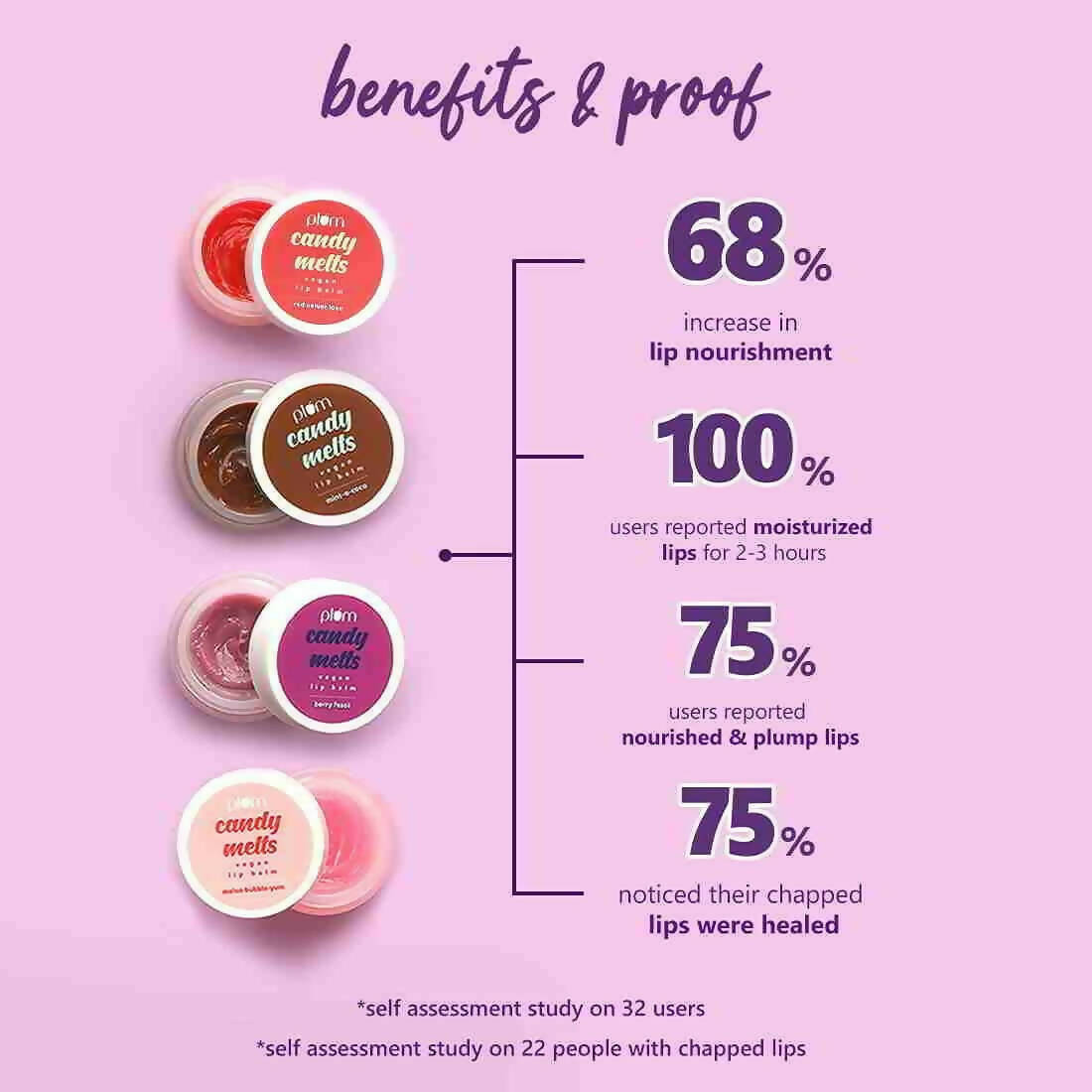 Plum Candy Melts Vegan Lip Balm - Mint-o-Coco - Swadesiicart
