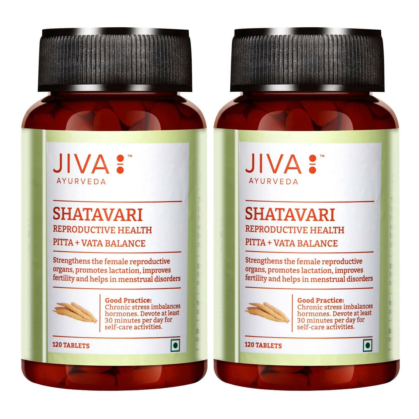 Jiva Ayurveda Shatavari Tablets - Swadesiicart